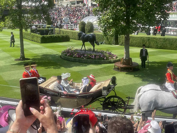 My son Jack was at Royal Ascot on Tuesday night - image Jack Haynes!