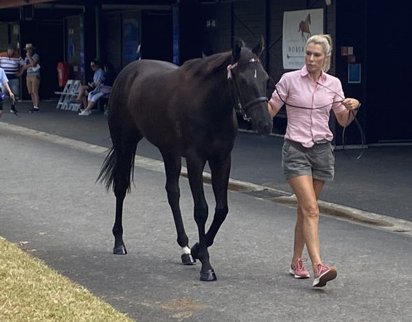 Advantageous Ventures principal Aimee Peterken parades the Ace High x Saveadance filly at Karaka last year. Photo: Supplied