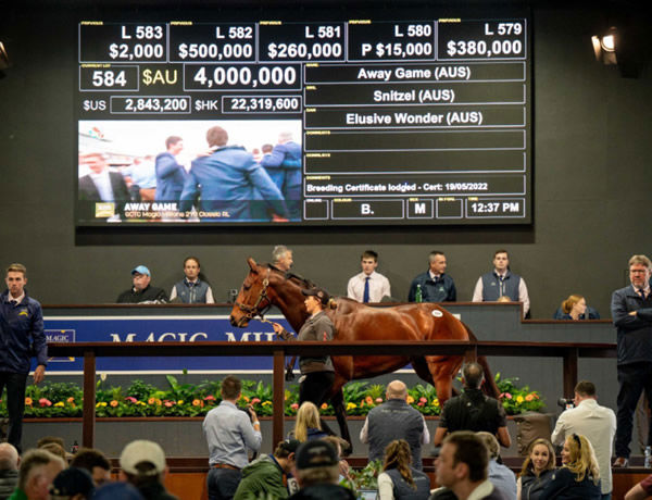 Champion 2YO Filly and $3.7million earner Away Game sold for $4million.