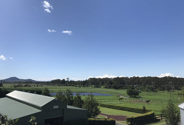 Picturesque Bell View Park is the perfect location from which to run a thoroughbred business. Click to find out more about Glen Lee Thoroughbreds.