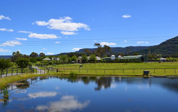 Bell View Park is a picturesque farm less  than two hours south of Sydney