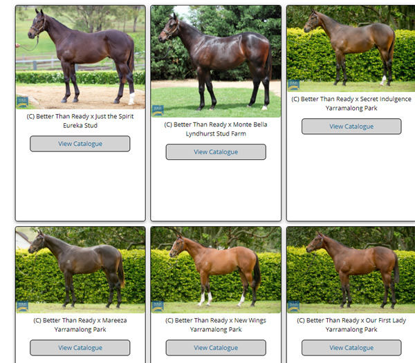 Click to see all his MM yearlings with images.