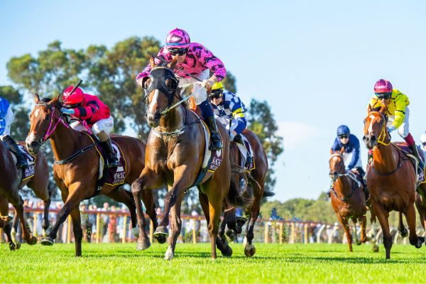 Big Shots wins the Perth MM 2YO Classic - image Western Racepix