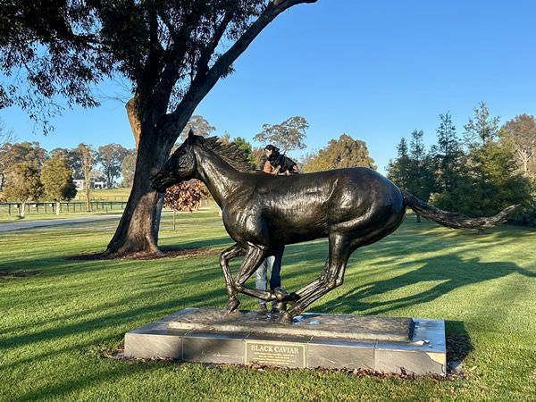 Freddie had a ride on Black Caviar at Gilgai Farm! 
