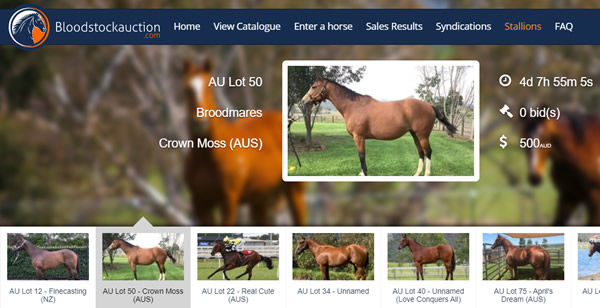 Bloodstockauction.com will host the Capricornia Yearling Sale 