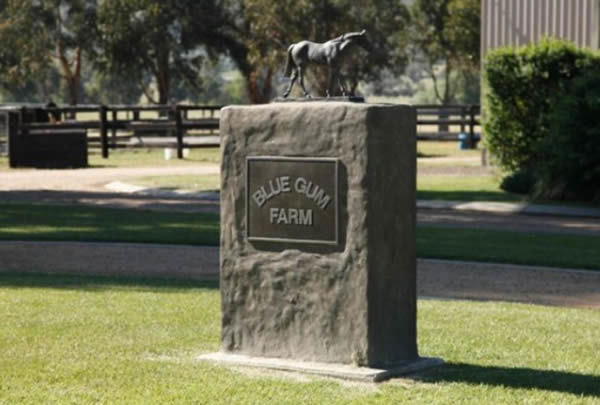 Change of ownership for iconic Victorian stud Blue Gum Farm.