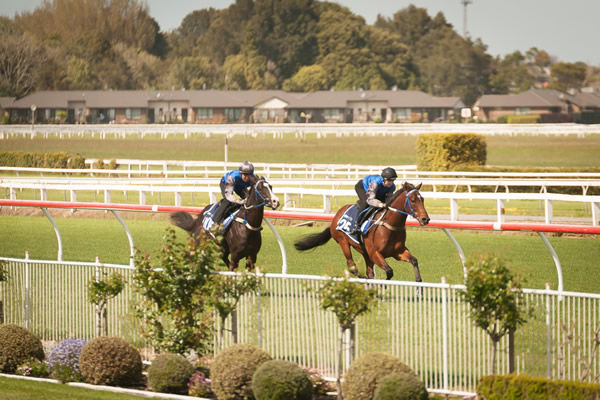 KB Bloodstock presented the fastest lots of the day