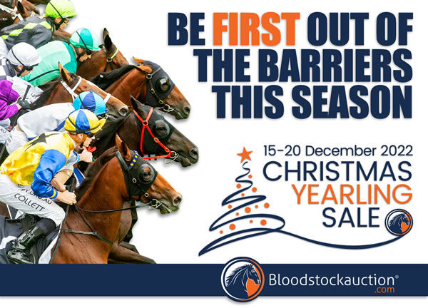 The Christmas Yearling Sale runs from 15 December through to 20 December 2022