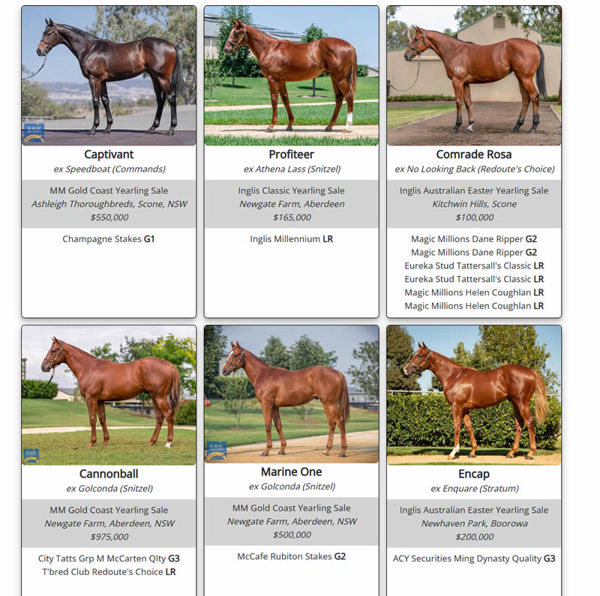 Click to see all his SW yearlings.