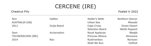 Pedigree