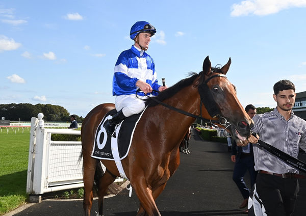 Communist gave Zac Purton a G1 double as he also steered Artorius to victory - image Steve Hart