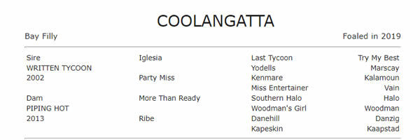 Coolangatta  12th G1 winner for Written Tycoon.