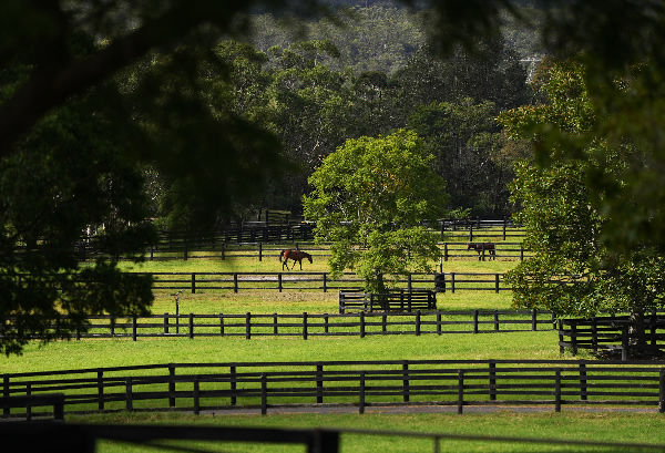 Coolmore Mount White Farm is an idyllic spelling farm now open for outside clients.