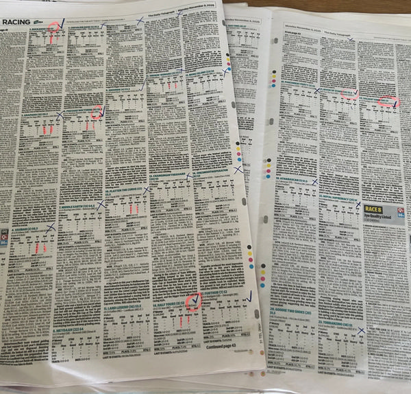 It's time to try and make sense of The Cup! 