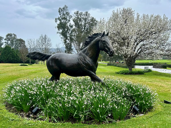 Fastnet Rock has earned immortality at Coolmore.