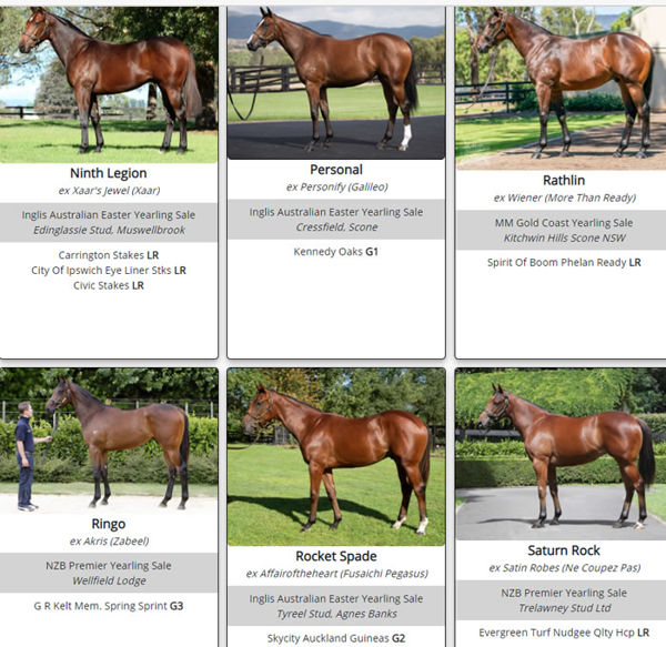 Click to see the full gallery of Fastnet Rock stakes-winners as yearlings.