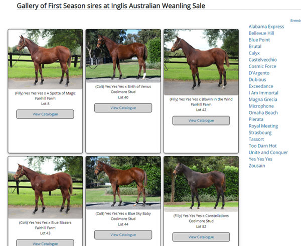 Click through to this gallery page and click on any sire in the right hand side to bring up their weanling images in a user friendly format.