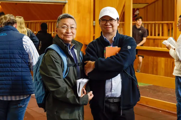 Francis Lui and Willie Leung at Karaka Photo: Ange Bridson