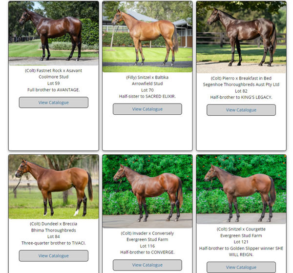 Click to see the full gallery of siblings to G1 winners.