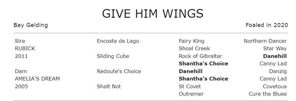 Give Him Wings is line bred to blue hen Shantha's Choice.