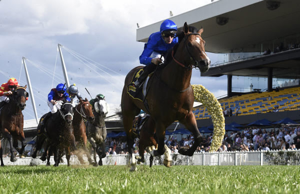 Golden Mile will seek to add to Godolphin's incredible record in the Golden Rose - image Steve Hart