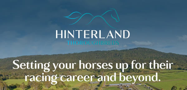 Click for more information on Hinterland Thoroughbreds.