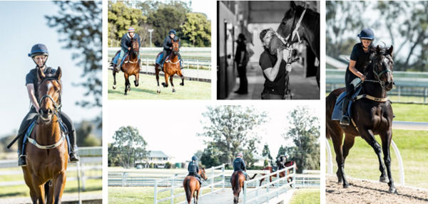 Click to visit Hinterland Thoroughbreds website for more information.