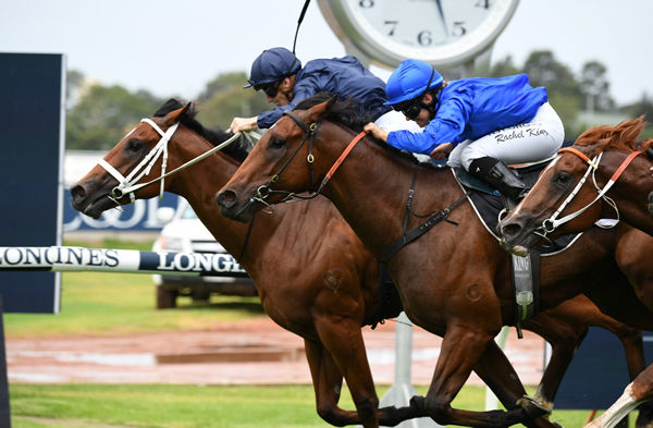 Home Affairs had the G3 Canonbury Stakes won everywhere bar on the line, click to see th epedigree for his half-brother by Capitalist for Inglis Easter.