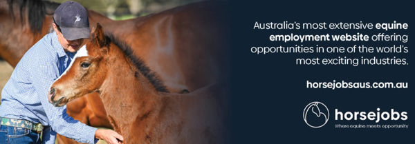 Introducing Horse Jobs Australia  | Breednet