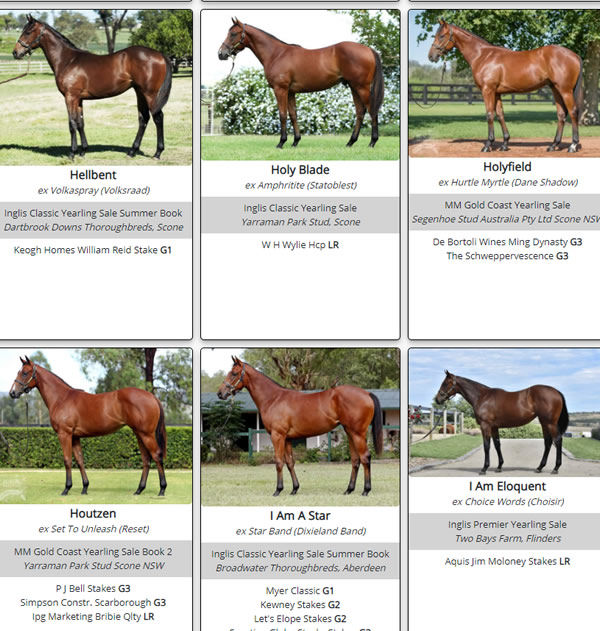 Click here to see the full gallery of I Am Invincible SW's. 