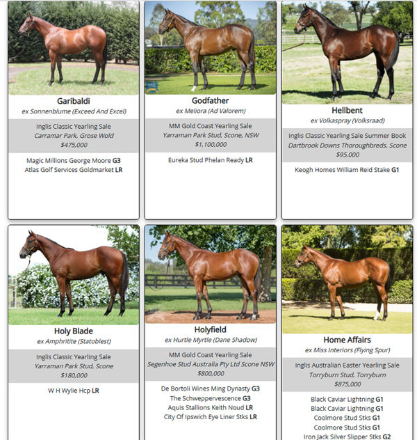 Click through to see the full gallery page and select any sire on the right of the page.  