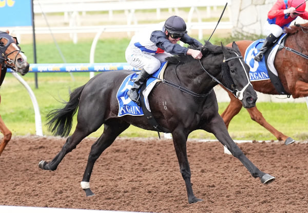 Iluvcoffee wind at Pakenham - image Scott Barbour / Racing Photos