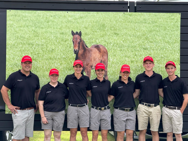 Catch team Inglewood at Karaka 2026.