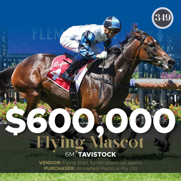 $600,000 for Flying Mascot