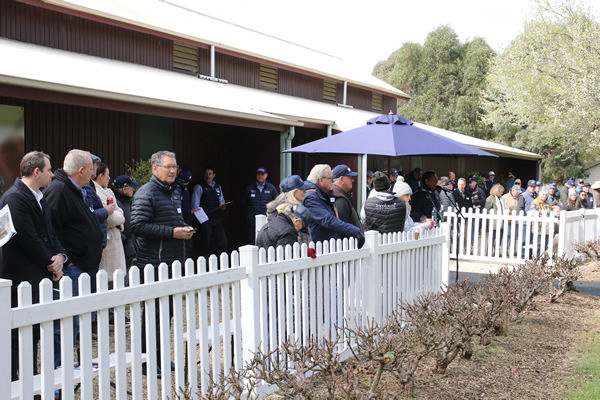 Widden Stud Victoria welcomed a big crowd on Friday.