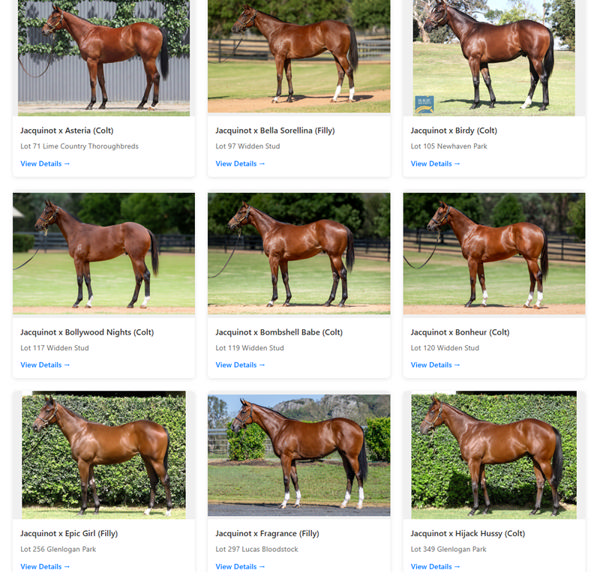 Click to see all the Jacquinot yearlings.