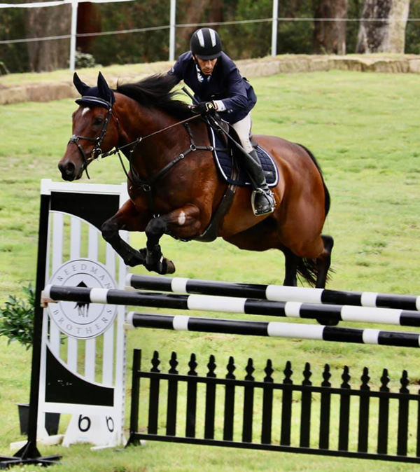 Popular jockey Jeff Penza and his mighty thoroughbred Fireball were back in the jump arena at Stonewall last Friday.  