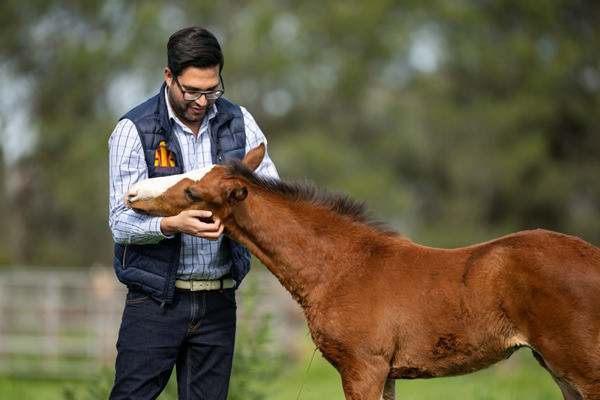 Jimmy Unwala of Avesta Bloodstock - image supplied.