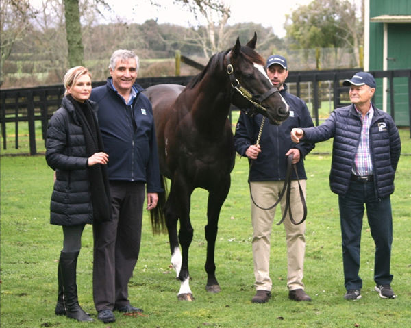 Ace High with (from left) shareholders Kylie Bax and John Cordina, Rich Hill Stallion Manager Lee Favell and the stallion’s former trainer David Payne. 