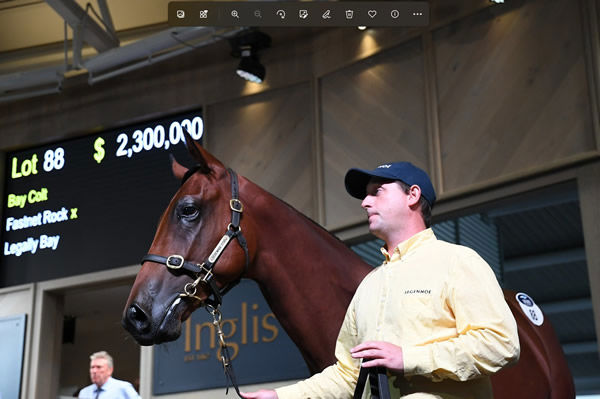 Johnny McConnell straps the 2019 Inglis Easter sale-topper for Segenhoe Stud.
