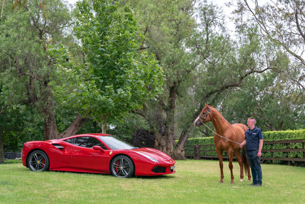 Win a red Ferrari with your Justify!