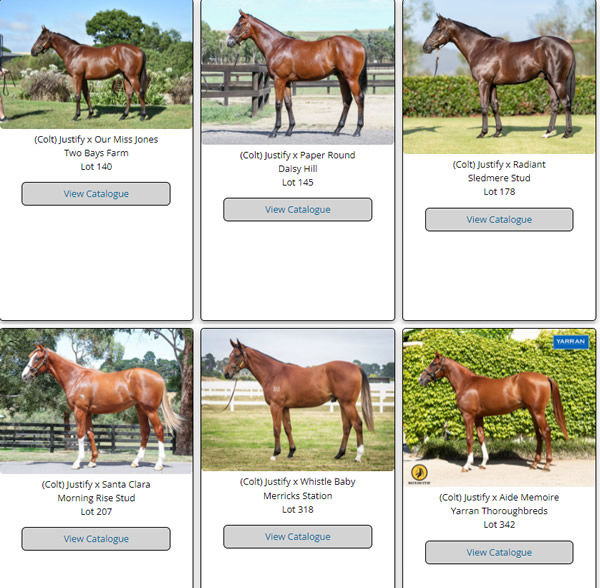 Click to see more Justify yearlings. 