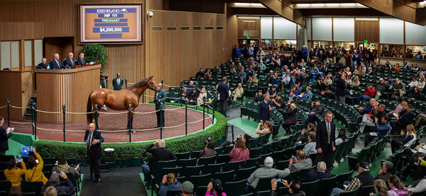 Keeneland November is a sale not to be missed.
