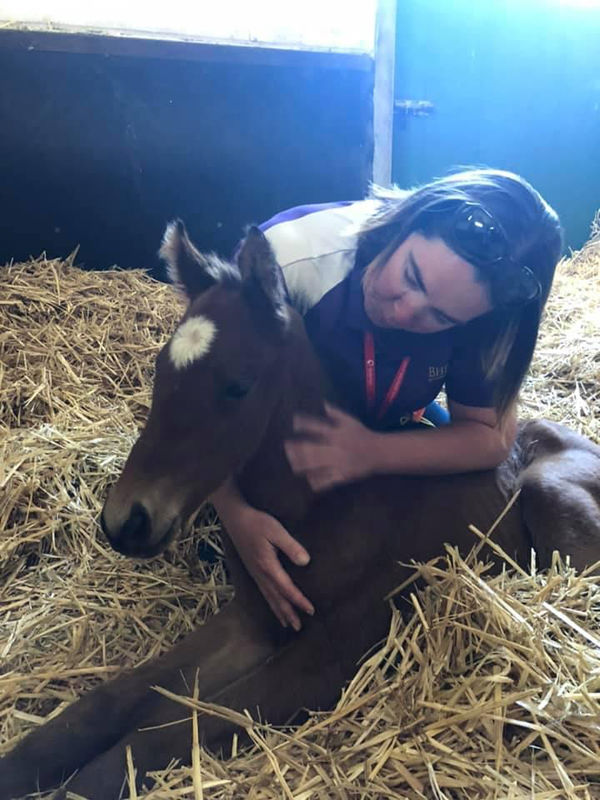 The foaling unit at Bhima Thoroughbreds is a seven day a week job.