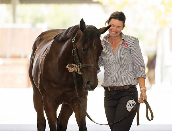 Kristen and $280,000 Exosphere colt now named Forged. HP Thoroughbreds sold his full sister for $110,000 at Inglis Classic this year.