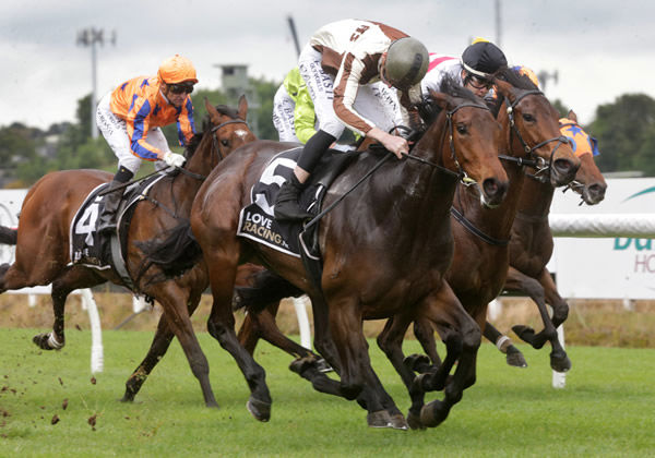 Legarto winning at Te Rapa on Friday. Photo: Trish Dunell