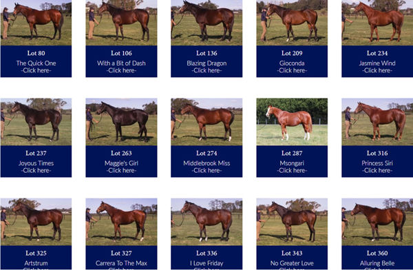 Click to view 'Leg Work Documents' on every mare offered by Lime Country in the Inglis Australian Broodmare Sale.