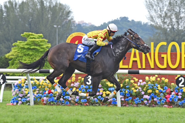Lucky Magic (NZ) winning the Selangor Gold Cup