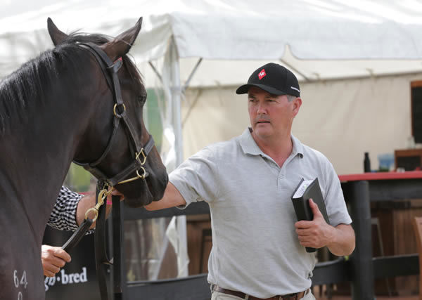 Hanui Farm managing director Mark Chitty pictured with lot 502, the Iffraaj filly Powerfilly. Photo: Trish Dunell