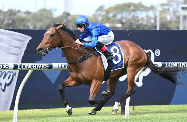 Marquess wins for Godolphin at Rosehill - image Steve Hart